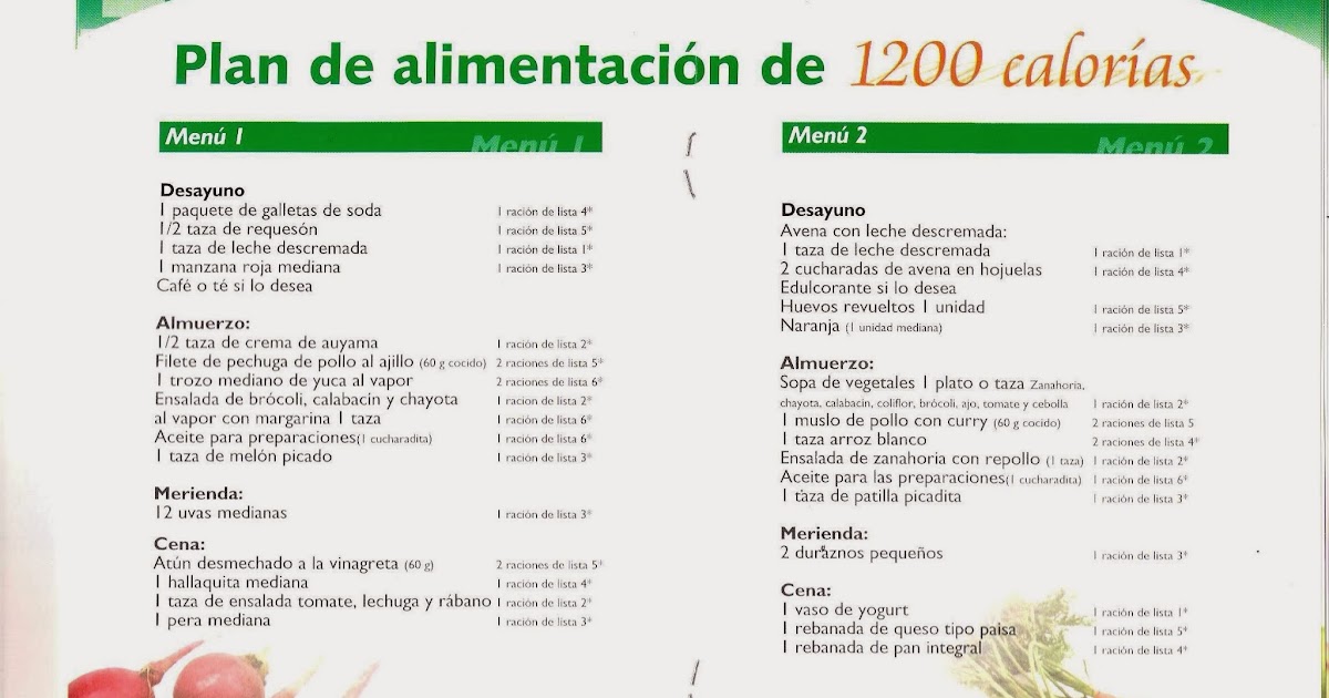 1800 calorias diarias dieta